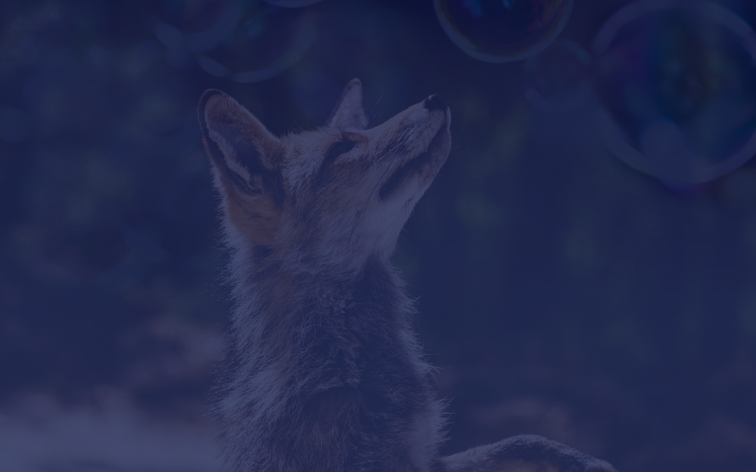 Fox medicine to Charm Your Way to Success